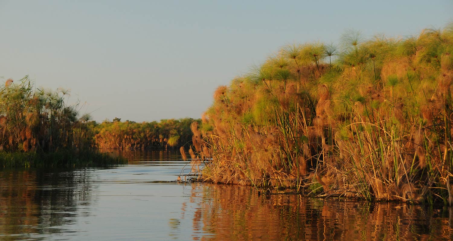 wetlands