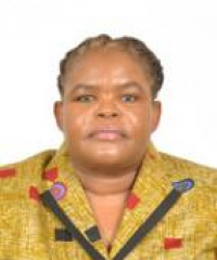 sebego