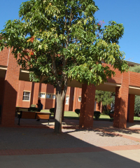 kelemogile