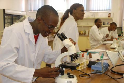 Leaders in research